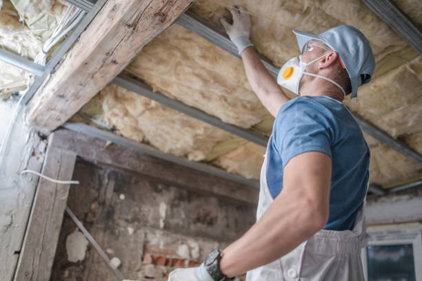 Best Insulation Maintenance and Repair in Lake Lotawana, MO