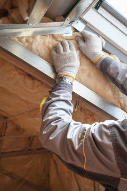 Best Commercial Insulation in Lake Lotawana, MO